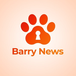 Логотип VPN Barry VPN