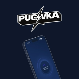 Логотип VPN PUGOVKA BOOSTER