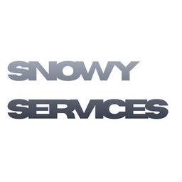 Логотип VPN Snowy Services