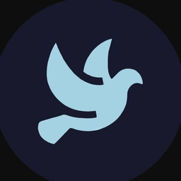 Логотип VPN ZVeil VPN
